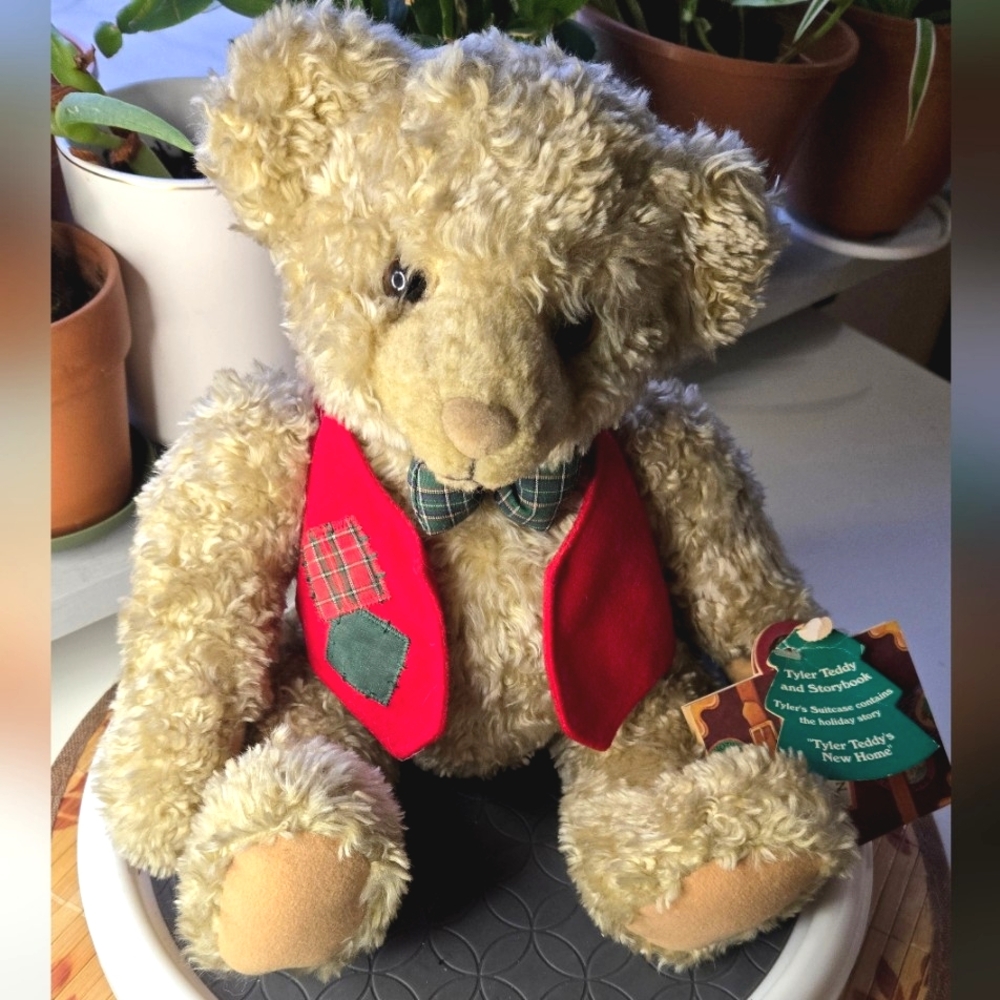 Hallmark Tyler Teddy and Storybook Set